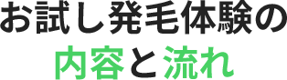 お試し発毛体験の内容と流れ